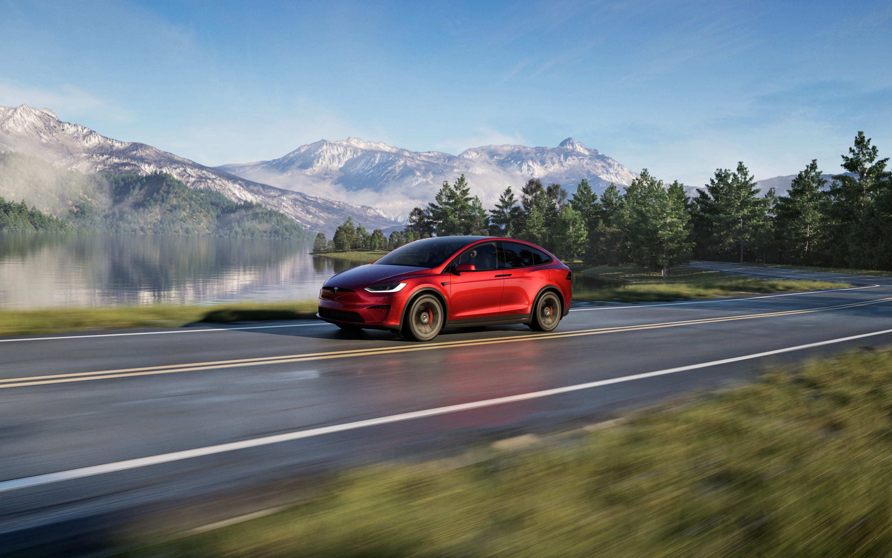 Grey Model X roaming