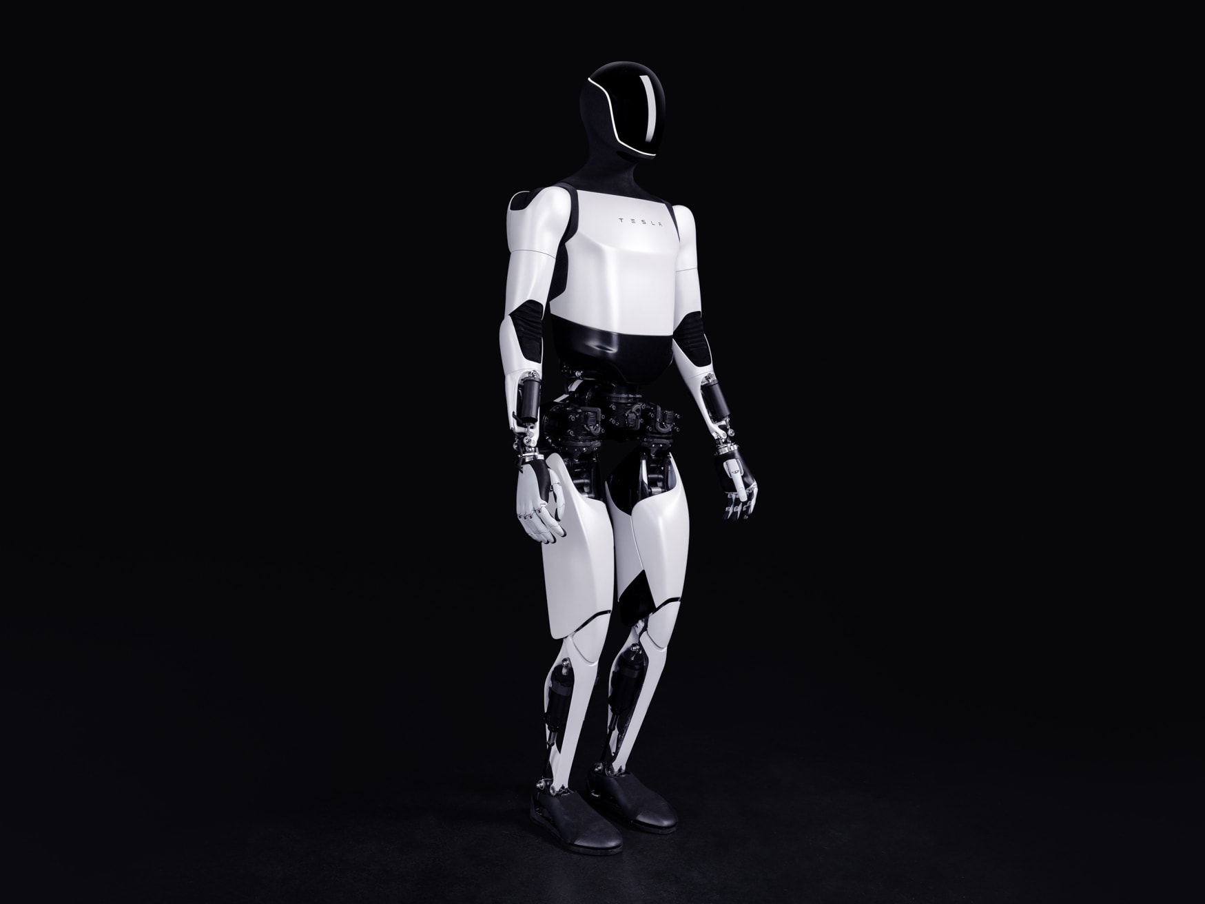 Tesla Bot
